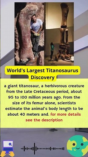Giant Footprints Buried in Time: World's Largest Titanosaur Discovery