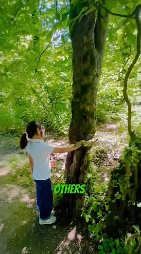 This Tree Can Merge With Other Trees to Survive ✂️🌳