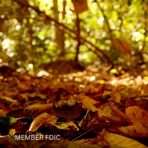 #OVNB #communitybanking | Oak View National Bank