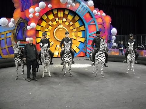David Skipworth training five zebras to ride.