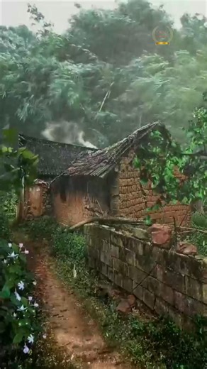 🌧️💙 Village Life in the Rain – Simple, Silent, Beautiful 🌿☔ #rainydays #rain #rain #raining #rainyday #toptags #pouring #rainydays #water #clouds #rainyweather #rainydayz #splash #downpour #nature #naturephotography #naturelovers #naturelover #natureza #nature_perfection #naturephoto #nature_brilliance #rainyday #forestview #getaway | Nature Collection