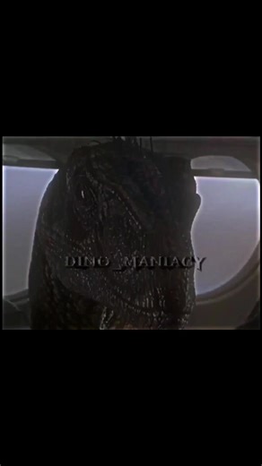 #dlaciebie #dinosaur #dc