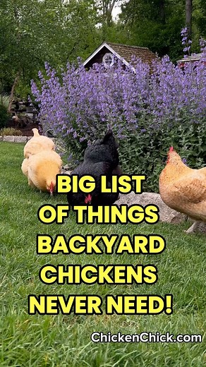 52K views · 945 reactions | I said what I said. Stop wasting money &...