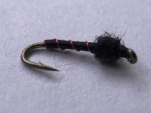 How to tie a Black Midge Pupa