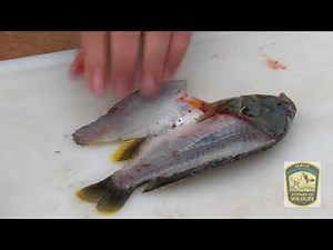 How to Fillet a Fish