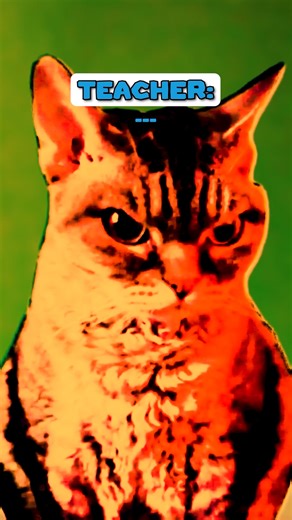 41K views · 1.3K reactions | Random Things in Class 藍 | PART 16, 17, 18 (CAT VERSION) #shorts sounds: @Ryanhdlombard ❤️PLEASE LIKE AND SUBSCRIBE ❤️ Feed the cat by supporting this channel: https://www.youtube.com/@shercatYT https://www.youtube.com/@MeowriartyofficialYT Buy Me A Coffee: buymeacoffee.com/ShercatHolmesJunior #catmemes #funny #memes #cat #cute | Shercat Holmes Junior | Facebook