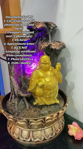 Essential Documents for VFS Japan Application