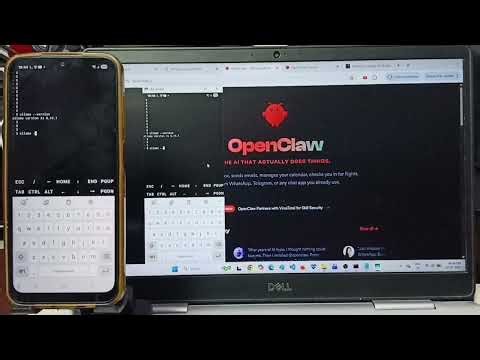 Ollama Local AI | How to Check Version of Ollama | Ollama Offline AI