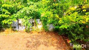 House for sale Kuravilangad 2800 square feet 12.5 cent area 4 bedroom 2 bedroom attached Fully furnished Pipe connection water kuravilangad church 1 km Near bus stop pakalomattom 300 meter from mc road ettumanoor route Kinar kuthaan area und Asking price -68 ലക്ഷം =, (, negotiable) ❤️❤️❤️📱📱-8714861666 | House and Property Sale