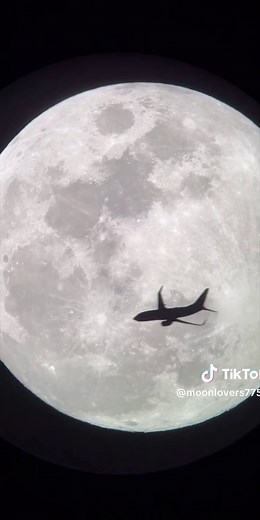 Live Highlights of the Beautiful Moon