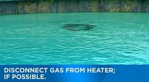 238K views · 546 reactions | Have a pool? Here are tips on how to...