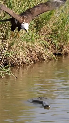 Exploring the Essence of Cinema: A Film Lover's Guide