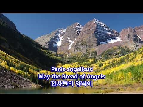 Panis Angelicus(생명의 양식) - Luciano Pavarotti: with Lyrics(Latin/Eglish/한글번역) || The Maroon Bells 2011