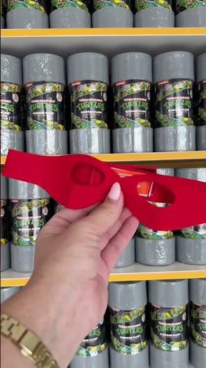 Teenage Mutant Ninja Turtle | Sea World