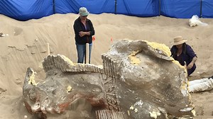 Sphinx Head Found Buried in California Sand Dunes