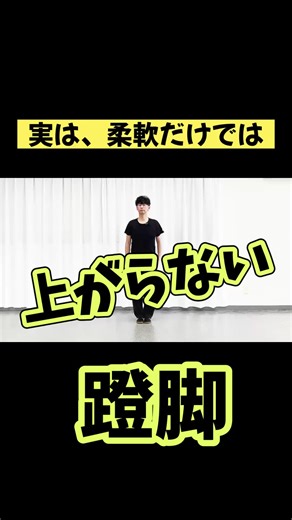 中上級者向け太極拳レッスンと教材