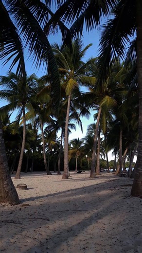 Guadeloupe En Direct : Actualités Et Événements Aujourd'hui