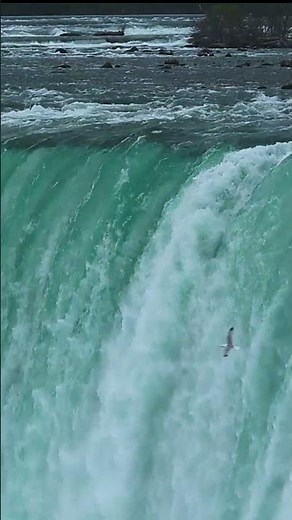 Niagara Falls Magnificent View #shorts