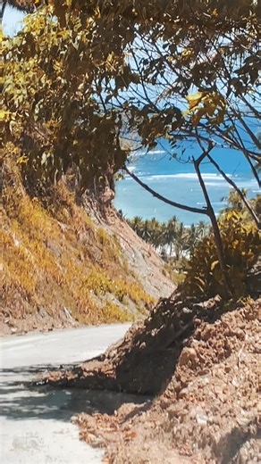 Explore Davao: Ultimate Travel Guide and Tips