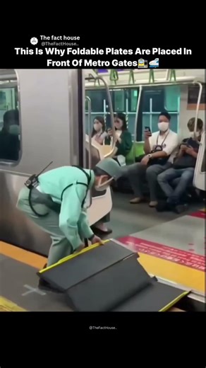 This Is Why Foldable Plates Are Placed in Front of Metro Gates 🚇