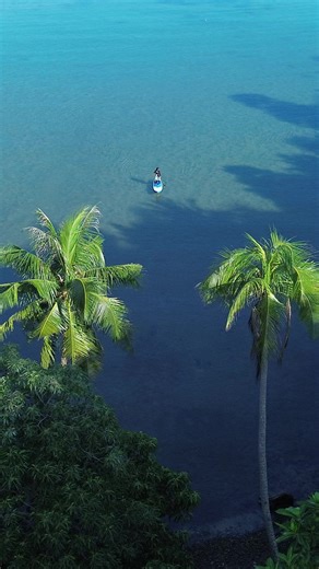 Unlock Your Paddleboard Wishlist Today!