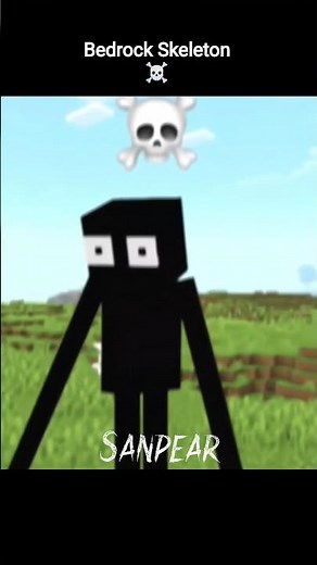 Minecraft Java vs Bedrock 💀