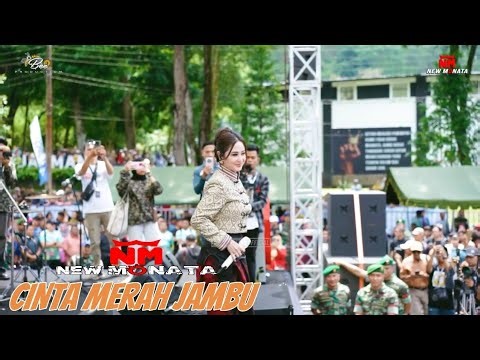 CINTA MERAH JAMBU - DEWI PERSIK ( COVER ) LIVE MAGELANG