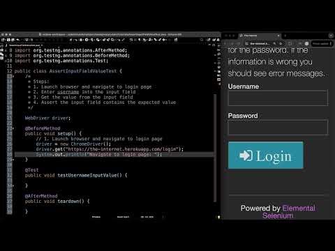 How to Assert Input Field Value (Tutorial) | Selenium + TestNG + Java