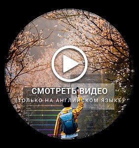 Спасибо за скачивание ACDSee Photo Studio Home | ACDSee