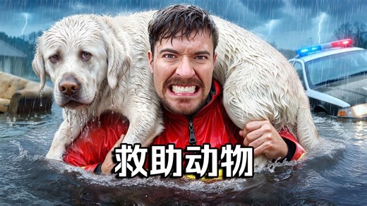 【MrBeast首发】我救助了1000只动物-MrBeast官方账号-MrBeast官方账号-哔哩哔哩视频