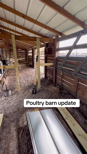 Poultry Barn Update: Building Door Frames and Walls