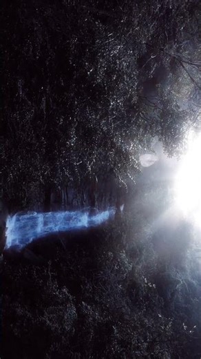 Turn Your Phone! 🔁 Magical Forest Waterfall ✨ #shorts #nature