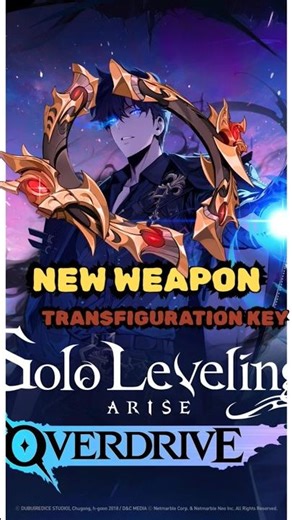 Transfiguration Key||New Insane Weapon Summon ||