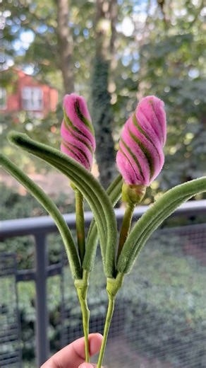 Lily Buds Tutorial 🌺 #lily #shorts #pipecleanerlily