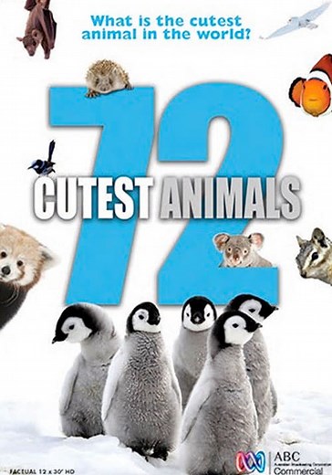 72 Cutest Animals Season 1 - watch episodes streaming online