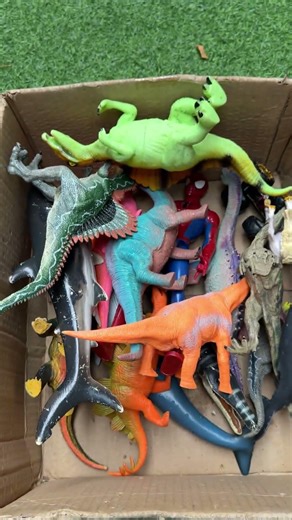 Hunting Jurassic World Toy Dinosaur Collection ASMR