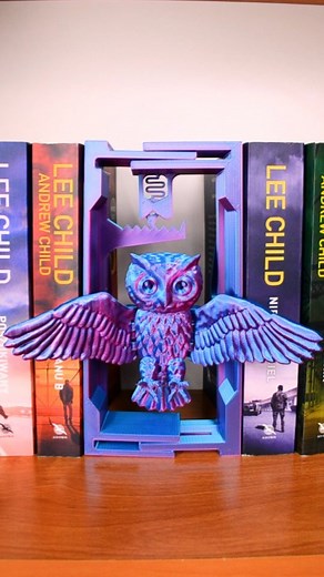 Krak Drag on Instagram: "3D printed 🦉Flying Owl 🦉Adjustable Book Nook! Early Release available now on my @thangs3d Membership (Link in Bio). Filament PLA Silk by @esun3dprinting #3dprinting #owl #books"