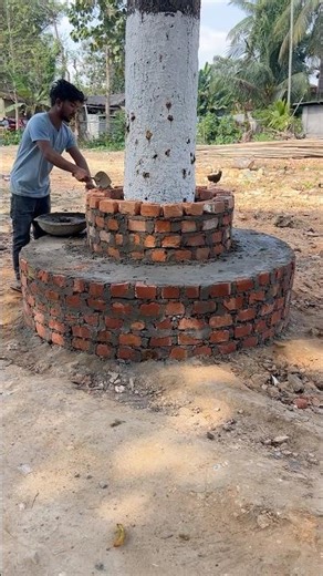 Satisfying Brick Layering Around Tree 🔥#shorts #crafts #trending #cementcrafts #DIY