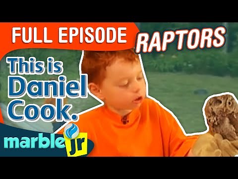 This is Daniel Cook - Season 1 - This is Daniel Cook learning about raptors