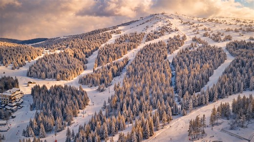 Un resort de invierno entre bosques de pinos