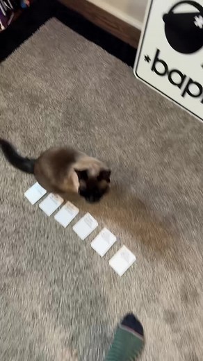 Birthday Messages and Life Advice Compilation