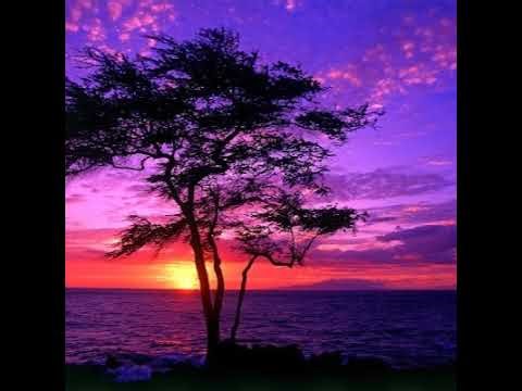 Microprocessor - Tuần 3