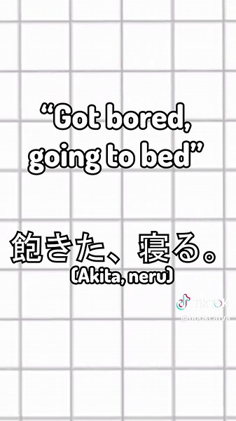 Who is Akita Neru? INFOLOID Episode Explained