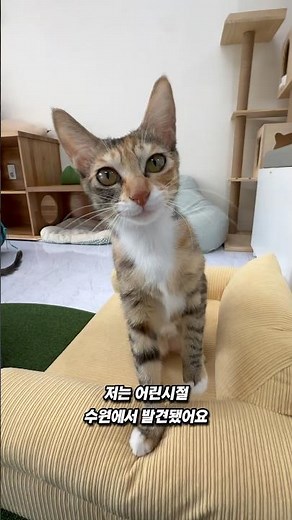 직접 집사 모집에 나선 갈근이!