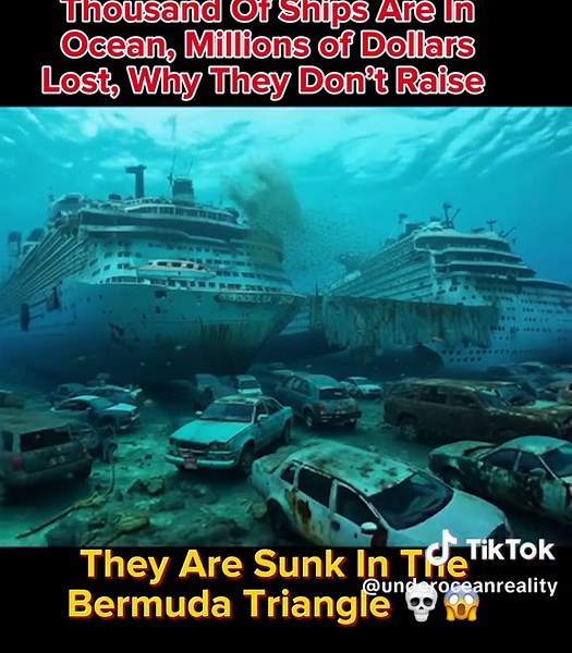 #ocean #underocean #oceanmysteries #oceansecrets | Ocean Mysteries