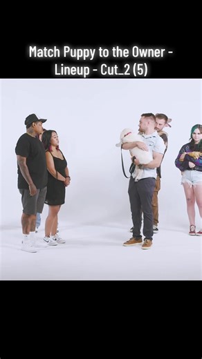 Find Your Perfect Puppy Match in Our Lineup