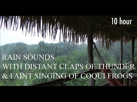 10 hour RAIN Sounds with Coqui frogs for Sleeping | Sleep and Relaxation | Rain Forest Nature Sound