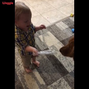 56K views · 1.1K reactions | Uh-oh! Baby and doggy having a small fight 藍 Who do you think will win? 樂 Watch till the end to find out mywaggle.com | Animal Tales | Facebook