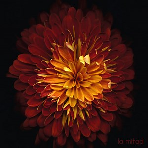 La Mitad, by Paper Beat Scissors