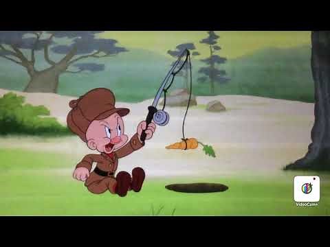 All looney tunes cartoons shorts 2020 Part 1